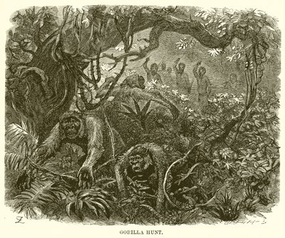Gorillajagd von English School