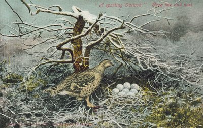 Graue Gans und Nest von English School