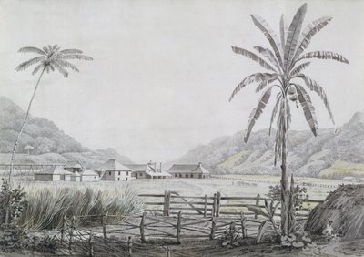 Halse Hall, Jamaika, um 1780 von English School