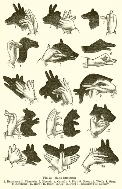 Handschatten von English School