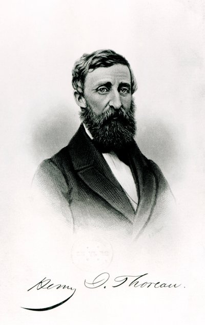 Henry David Thoreau (1817-62) von English School