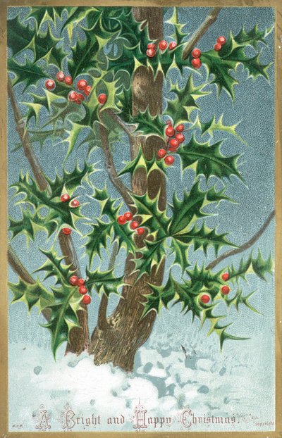 Stechpalmenbaum, Weihnachtskarte von English School