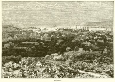 Honolulu von English School