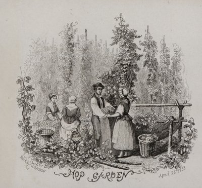 Hopfengarten (Stich) von English School