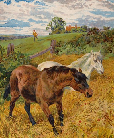 Pferde in einem Kornfeld von English School
