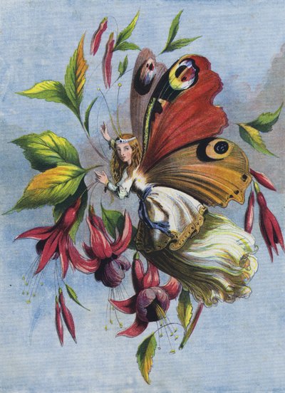 Wie Lady Butterfly den Tag verbrachte (Farblithografie) von English School