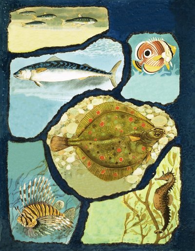 Wie Fische ihren Feinden entkommen von English School