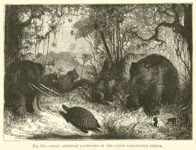 Ideale amerikanische Landschaft der späten Pleistozän-Periode von English School