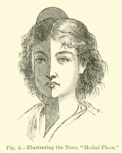 Medialebene illustrieren von English School