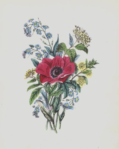 Illustration für Moss Rose Album von English School