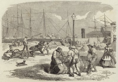 Illustrationen des Krieges in Amerika von English School
