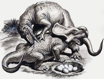 In den Tagen der Dinosaurier: Entdeckung in der Wüste von English School