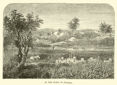 In der Ebene von Jesreel von English School