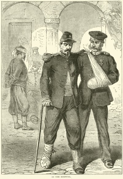 Im Krankenhaus, November 1870 von English School