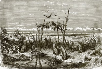 Indisches Grabmal in der Prärie mit hohem Gras, am Saskatchewan-Fluss von English School