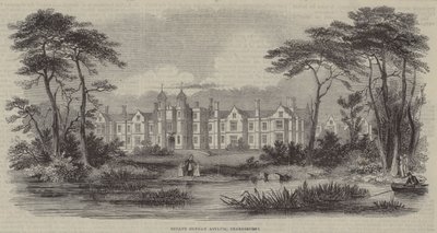Waisenhaus für Kleinkinder, Snaresbrook (Gravur) von English School