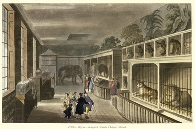 Innenansicht von Politos Royal Menagerie, Exeter Change, Strand, 1812 von English School