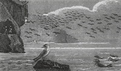 Isle of Man von English School