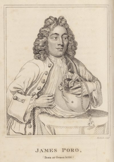 James Poro, Geboren in Genua 1686 von English School