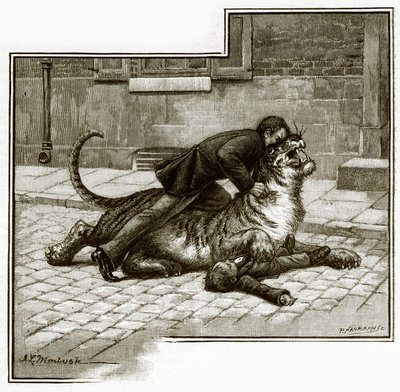 Jamrachs - den Tiger anpacken von English School