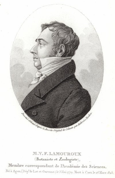 Jean Vincent Félix Lamouroux von English School