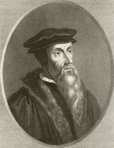 Johannes Calvin von English School