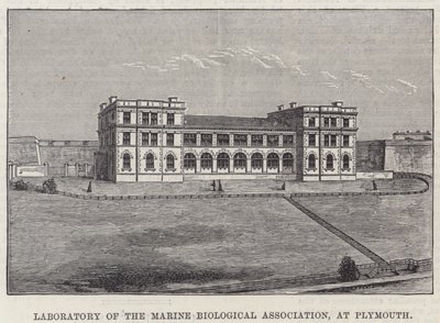 Labor des Marine Biological Association in Plymouth (Gravur) von English School