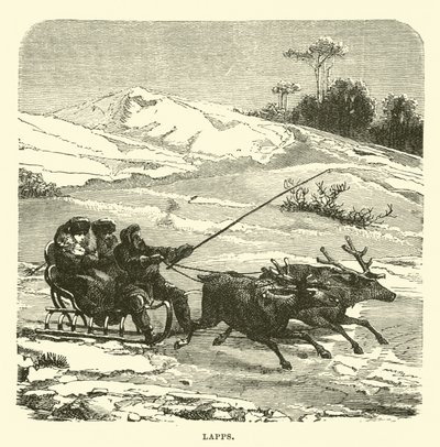 Lappen von English School