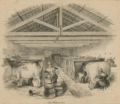 Laycocks Dairy Farm, datiert Juli 1841 von English School