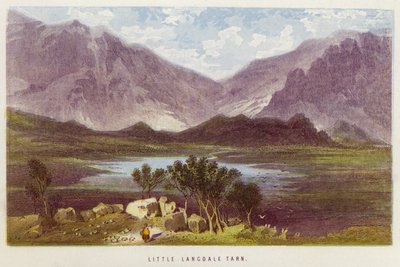 Little Langdale Tarn von English School