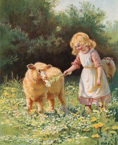 Kleines Mädchen füttert eine Blume an ein Schaf auf einer Wiese von English School