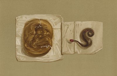 Haarlocke von Maria Stuart, Haarlocke von König Karl I. von English School