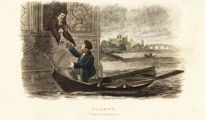 Londoner Bootsmann rettet einen sprechenden Papagei von König Heinrich VIII. von England von English School