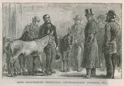 Lord Shaftesbury inspiziert die Esel der Straßenhändler von English School