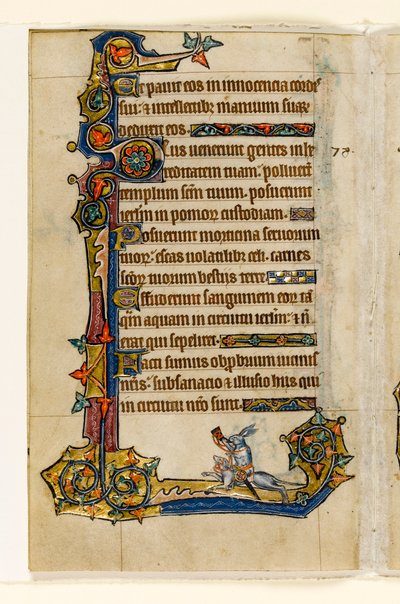 MS 1-2005, fol. 115v: Ein Hase reitet auf einem Hund, jagend, Randdekoration aus dem Macclesfield Psalter, Use of Sarum, Ostanglien, um 1330 von English School