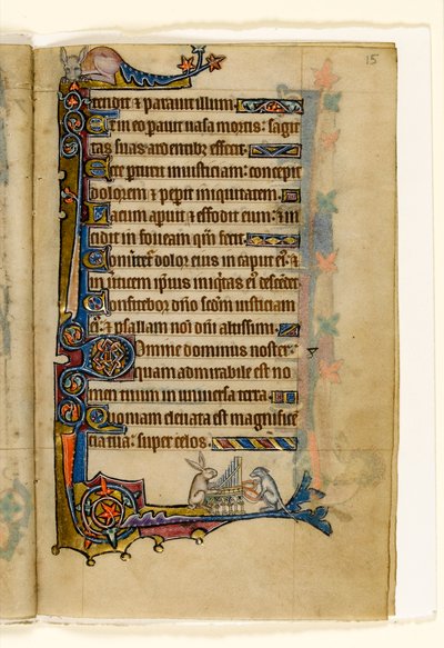 MS 1-2005, fol. 15r: Ein Hase und ein Hund spielen eine Orgel, Randdekoration aus dem Macclesfield Psalter, Use of Sarum, Ostanglien, um 1330 von English School
