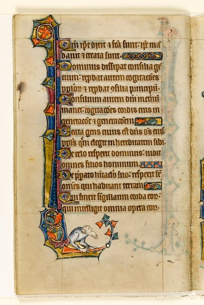 MS 1-2005, fol. 47v: Eine Groteske, Randdekoration aus dem Macclesfield Psalter, Use of Sarum, Ostanglien, um 1330 von English School