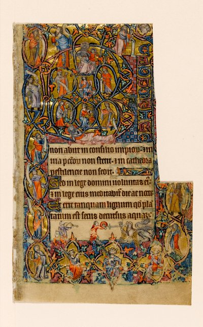 MS 1-2005, fol. 9r: Der Baum Jesse und die Beatus-Initiale mit Musiker und groteskem Kampf, aus dem Macclesfield Psalter, Use of Sarum, Ostanglien, um 1330 von English School