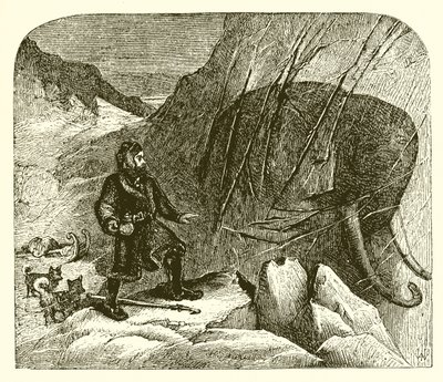 Mammut im Eis von English School