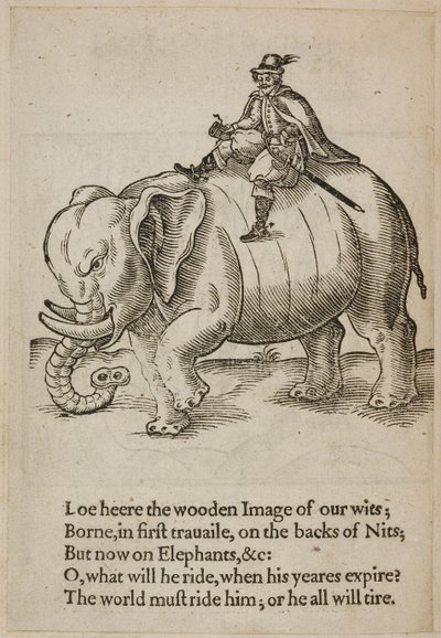 Mann reitet auf einem Elefanten, Illustration aus 