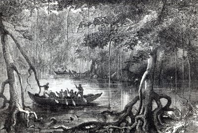 Mangrovenwald, Frontispiz-Illustration aus 