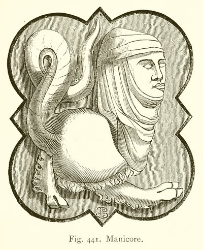 Manicore von English School