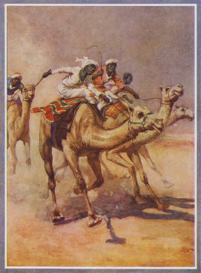 Männer reiten auf Kamelen in einem Rennen in der Wüste (Farblithographie) von English School