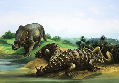Monoclonius und Scolosaurus von English School