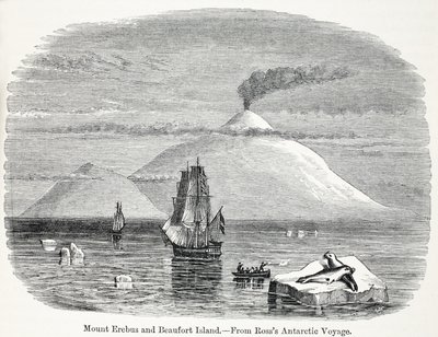 Mount Erebus und Beaufort Island aus Rosss Antarktisreise von English School