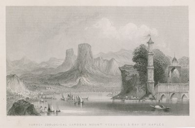 Der Vesuv und die Bucht von Neapel von English School