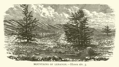 Berge des Libanon (Hosea, xiv, 5) von English School