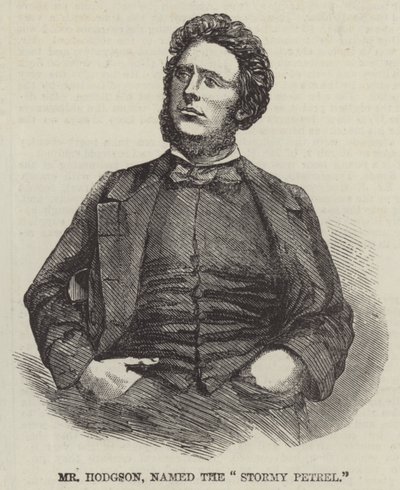 Herr Hodgson, genannt der "Sturmpetrel" von English School