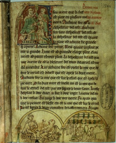 Ms.O.1.20.f.241v Jerome: Ein Arzt besucht einen Patienten und einen Apotheker, aus 
