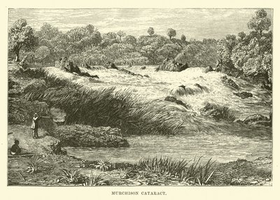 Murchison-Wasserfall von English School
